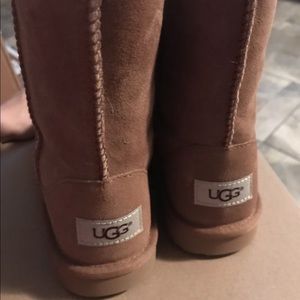 Chestnut Uggs